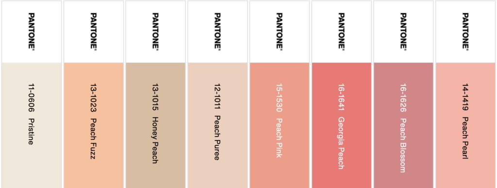 Peach Plethora color palette 2024 Pantone color of the year