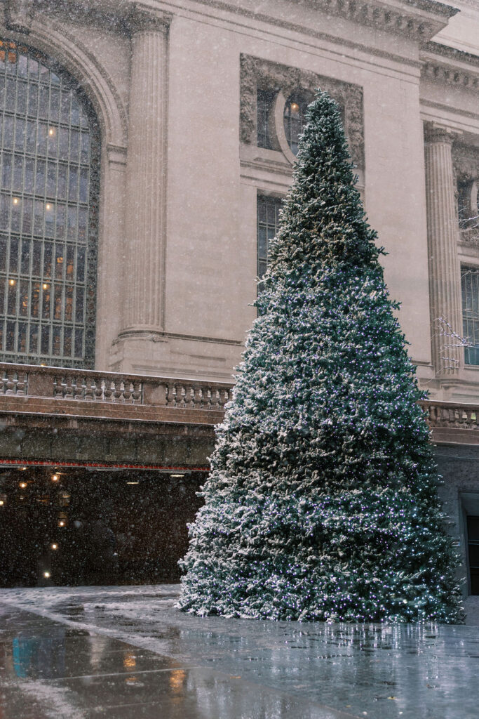 Tall Christmas tree with twinkling white lights outside of Grand Central Terminal in NYC